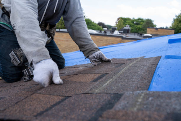 Best Residential Roofing Contractor  in South Shore, KY