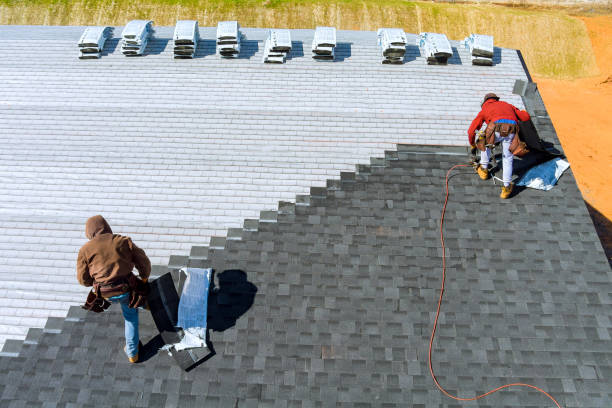 Best Roof Gutter Cleaning  in South Shore, KY