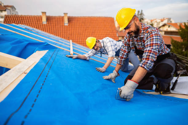Best Roof Waterproofing Services  in South Shore, KY