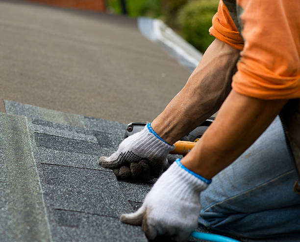 Best New Roof Installation  in South Shore, KY